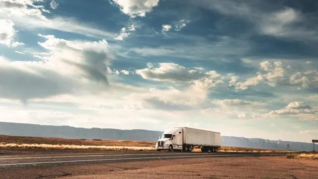What freight claims management includes