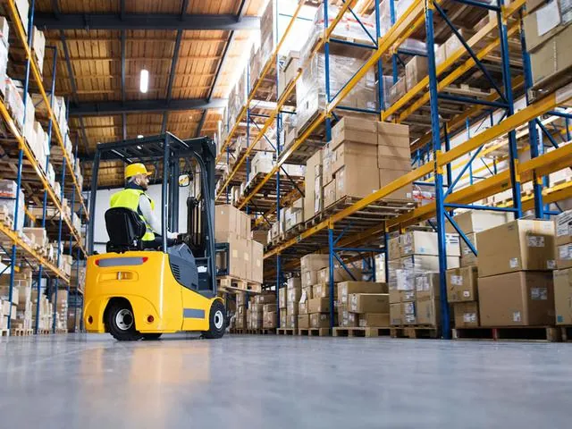 What our warehouse management system consulting covers