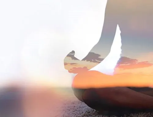 What happens in a mindful workshop