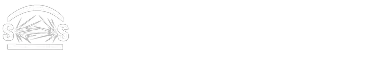 Surface Solutions